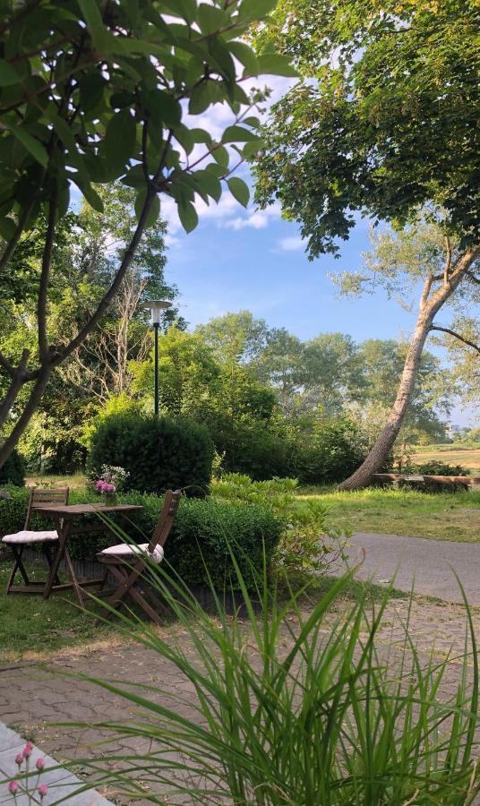 Gruenblau Relax Pension & Apartments Rostock Ngoại thất bức ảnh